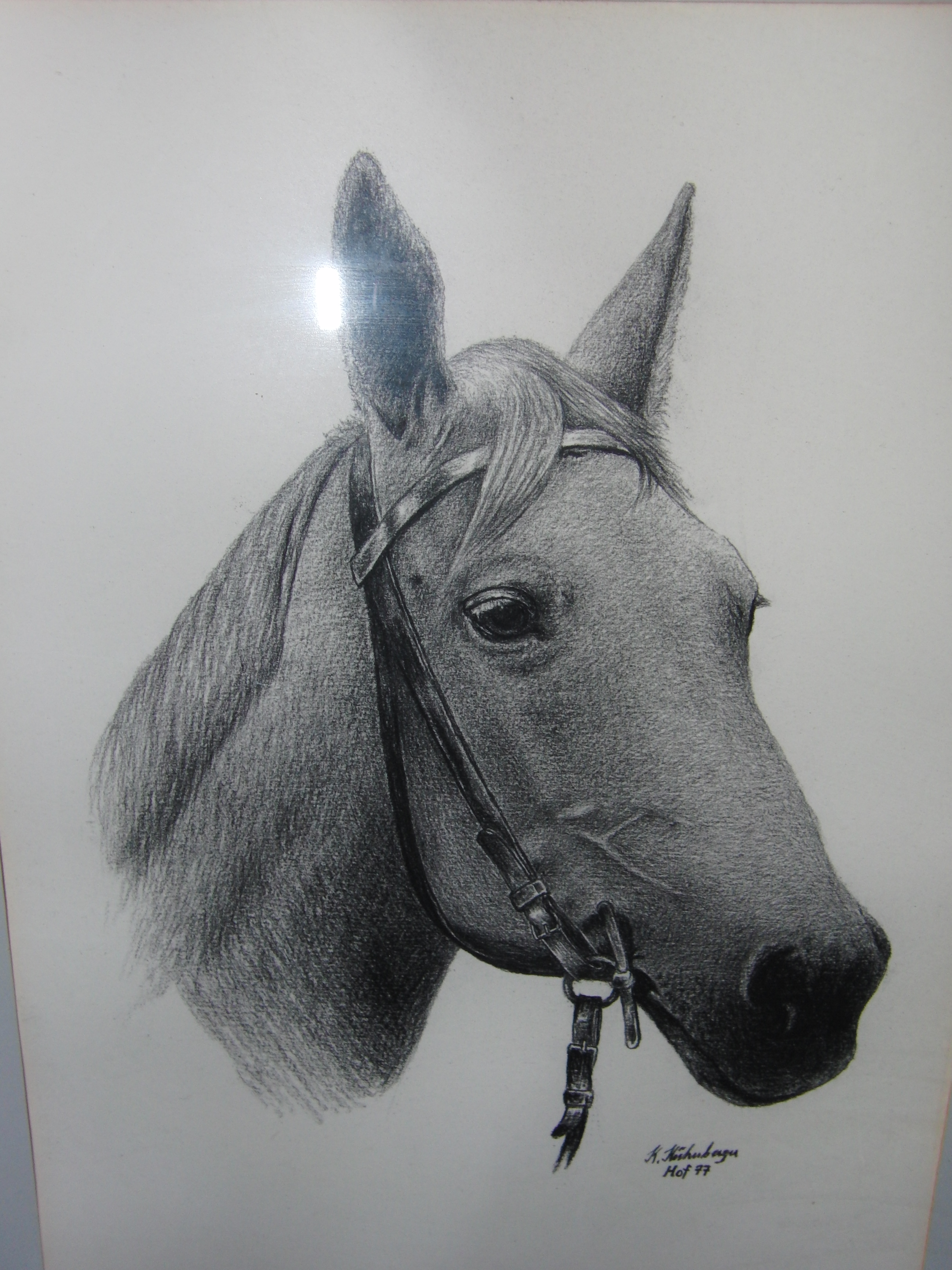 Pferdekopf Zeichnung